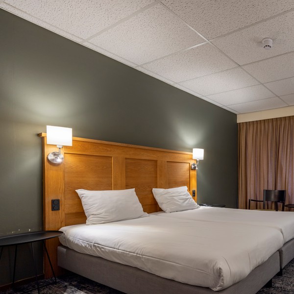 Sallandse Heuvelrug - Hotelkamer