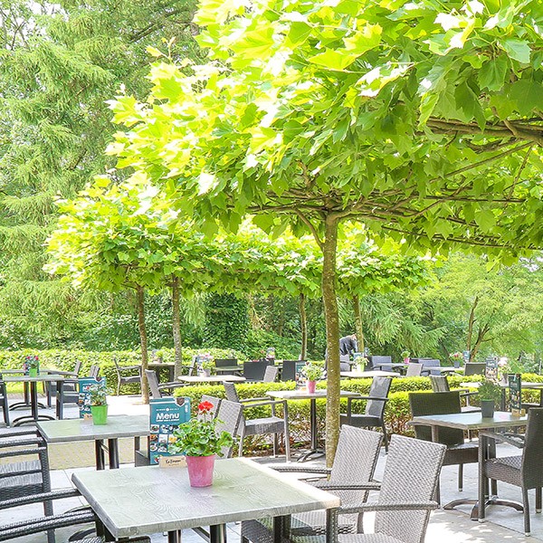 Sallandse Heuvelrug - Terras