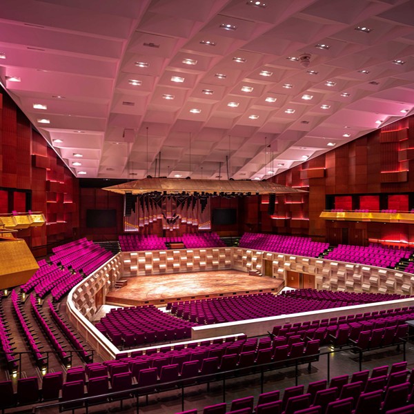 de Doelen Theaterzaal paars