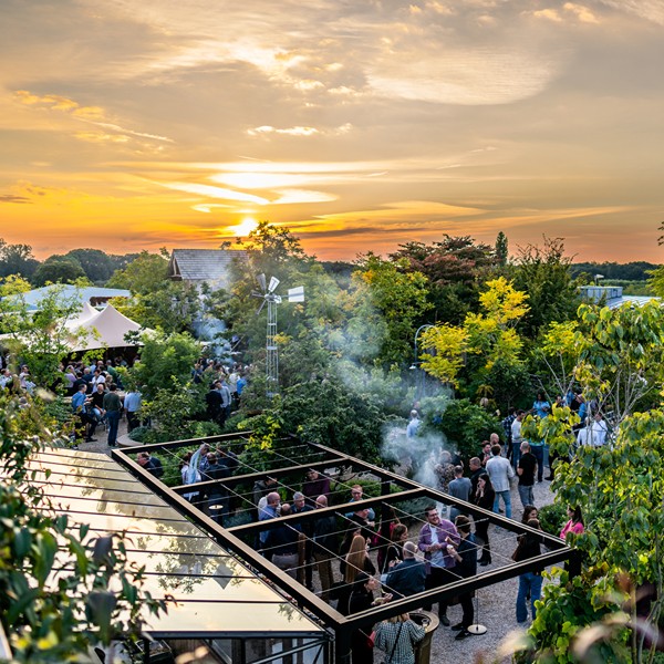 5. Inspyrium borrel