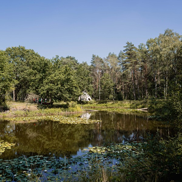 Eigentijdserf - vijver