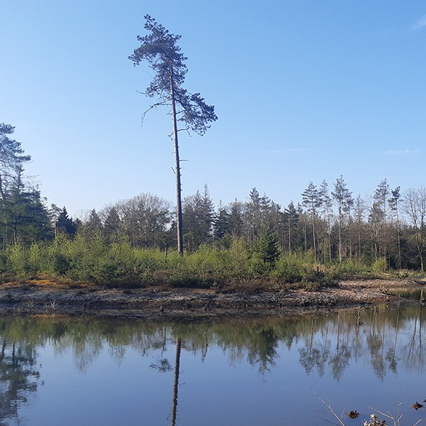 Région d'Epe-Zwolle