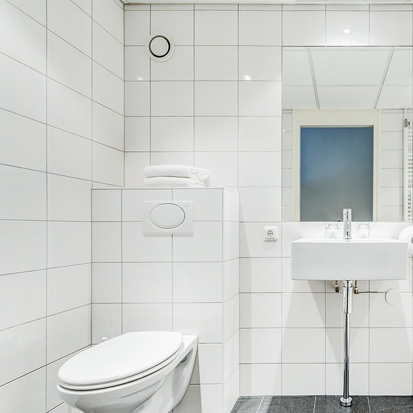 Fletcher Hotel-Restaurant De Eese-Giethoorn - Badkamer