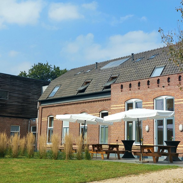 Zin - Terras