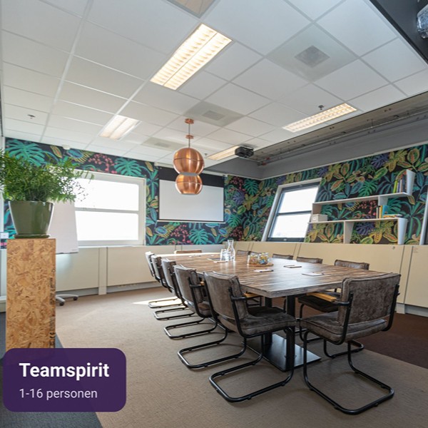 Amersfoort centraal - teamspirit