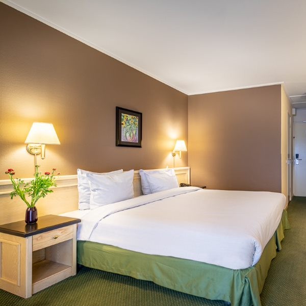 Ecomomy kamer