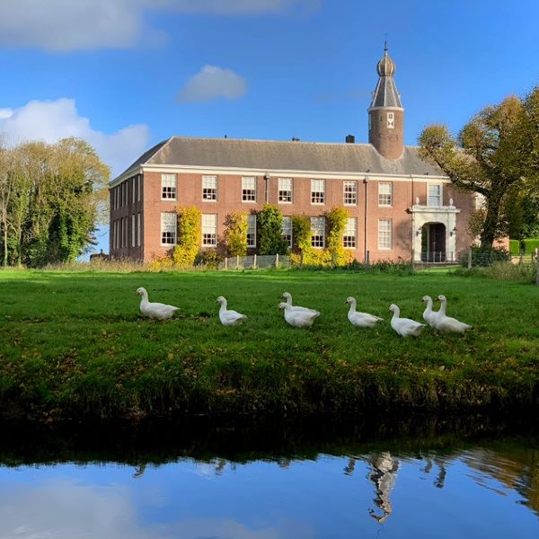 Ganzen chateau