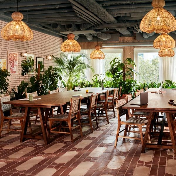 The Hoxton - Winter garden