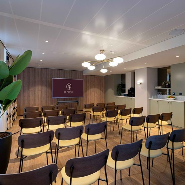 De Plesman - Theater