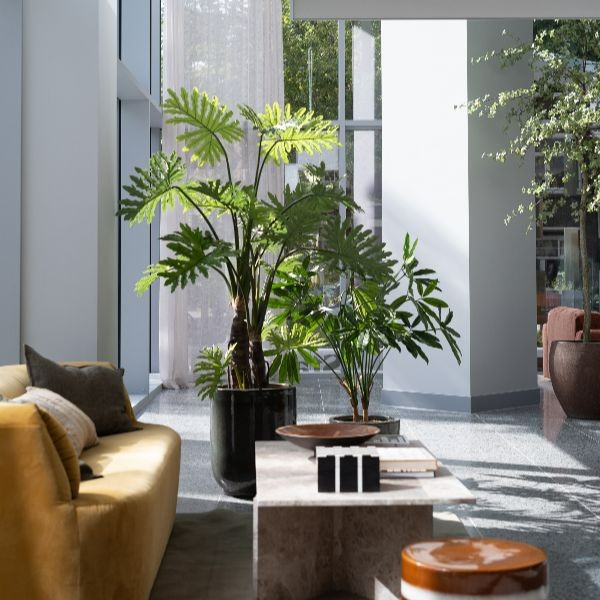 Lounge 3
