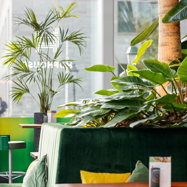 Hofhouse - groene zitplek