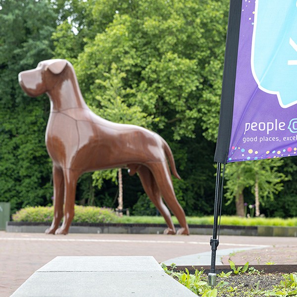 hond