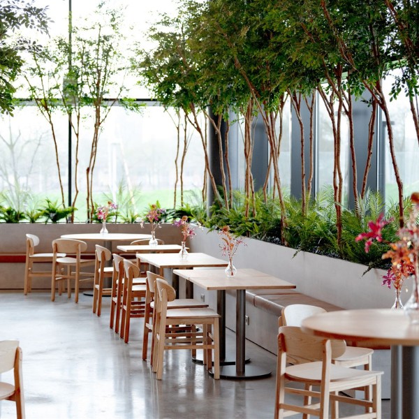 LIEMÈS - Restaurant bank