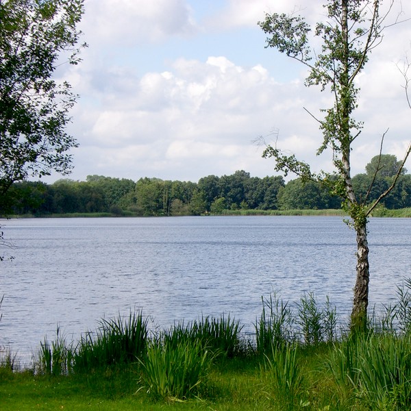 Dikke van Dale - Omgeving