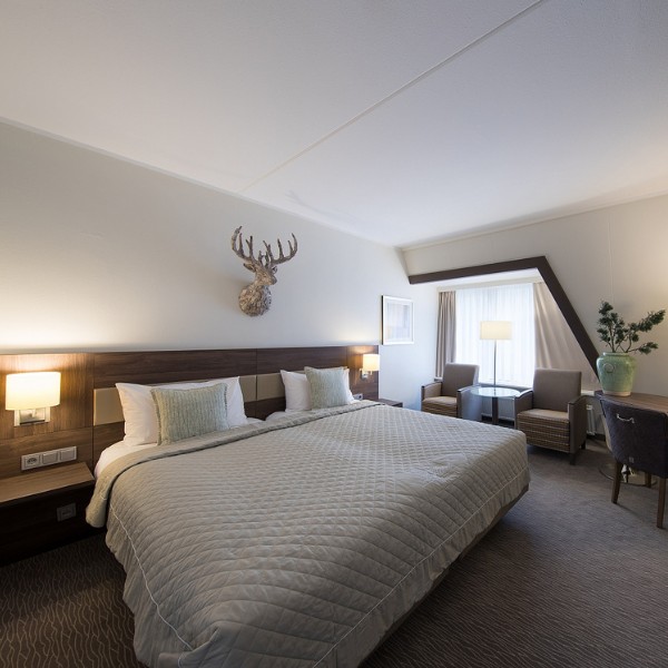 Hotel 't Speulderbos - Hotelkamer