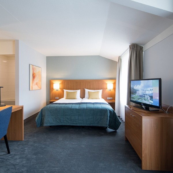 Résidence Groot Heideborgh - Hotelkamer