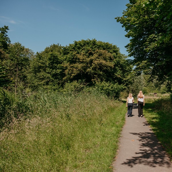 Hotel Mitland - wandeling
