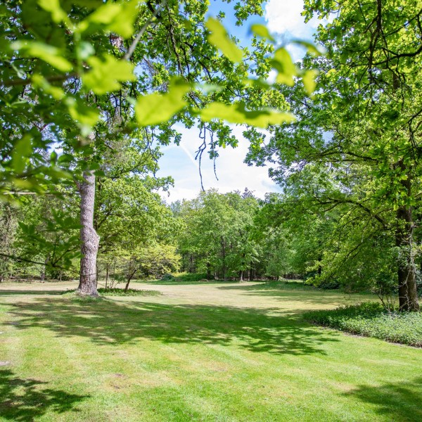 Woudschoten - Natuur