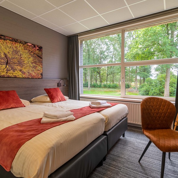 Nueva Allardsoog - Habitación de hotel