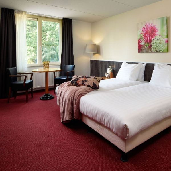 12. Hotel Landgoed Ezherwold - Hotelkamer