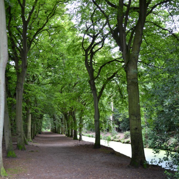 8. Marijke-Exterieur-Omgeving_